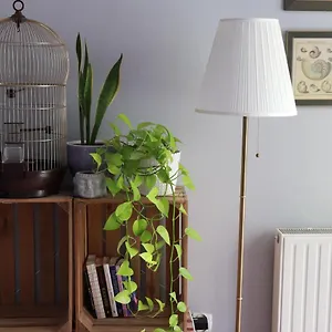 Apartament Klimatyczna Kawalerka Z Dużą Ilością Kwiatów, Wrocław